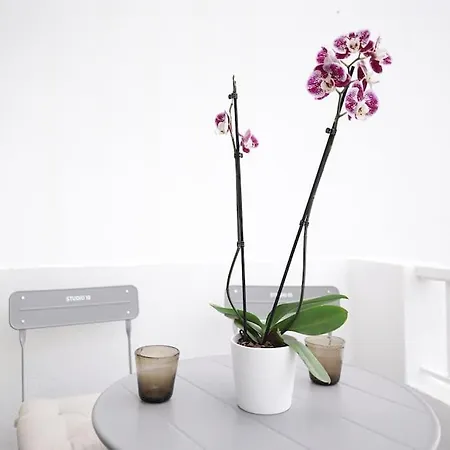 Apartamento 10 / Tenerife *