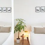 10 / Tenerife Чайофа
