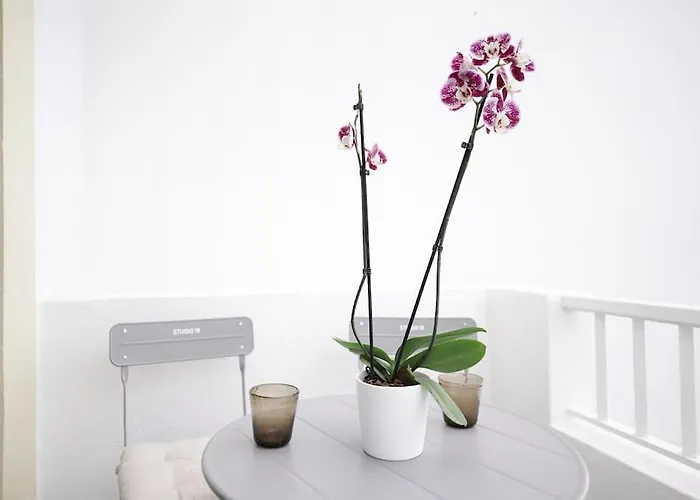 Apartment 10 / Tenerife *